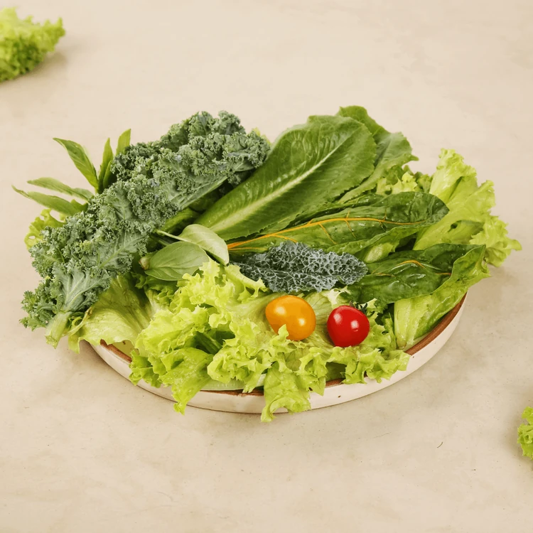 Salad Box - Hydroponically Grown