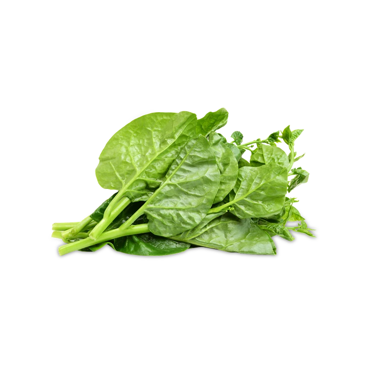 Malabar Spinach (Basale Soppu / Palak Soppu)