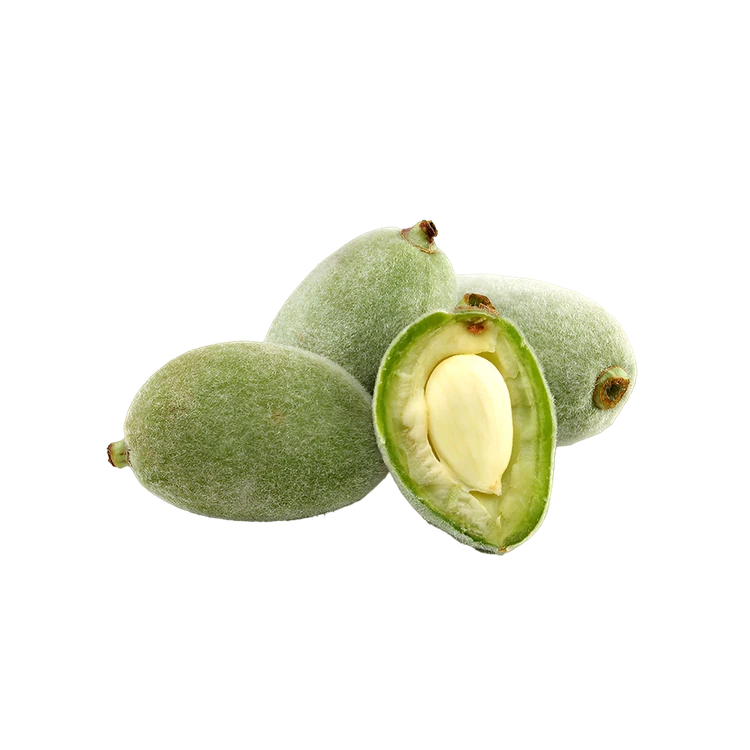 Green Almonds (Badami)