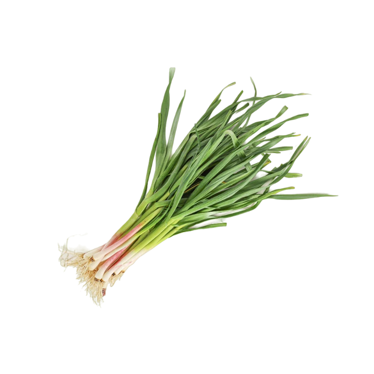 Spring Garlic (Spring Bellulli)