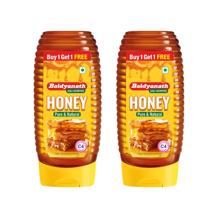Baidyanath Pure & Natural Honey