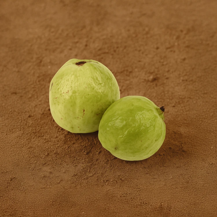 Organically Grown Thai Guava - 2 pieces (500-600 g)