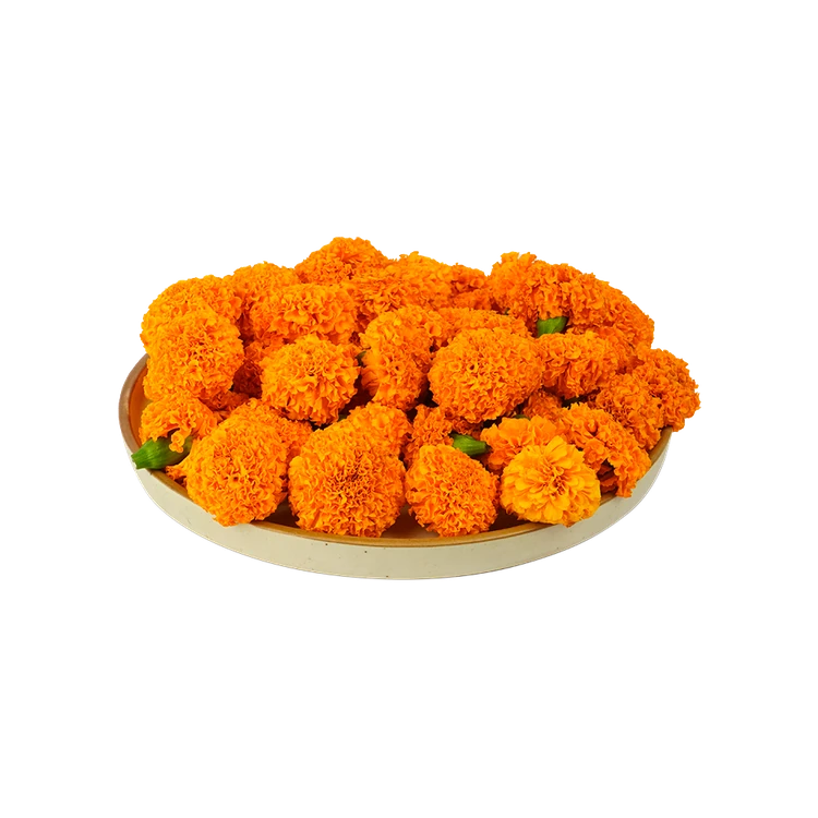 Marigold Special Offer