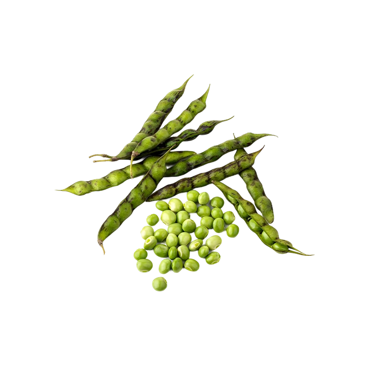 Pigeon Pea (Togari Bele)