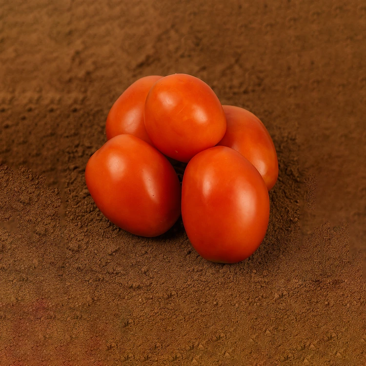 Organically Grown Tomato (Hybrid)