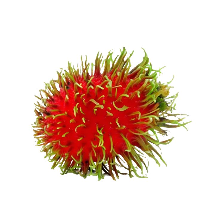 Rambutan