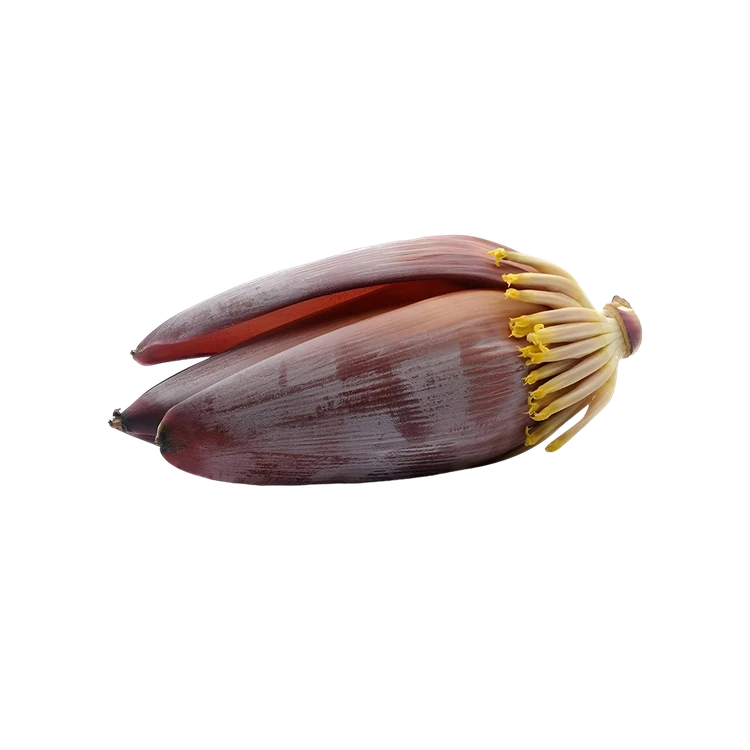 Banana Flower (Baale Hoo)