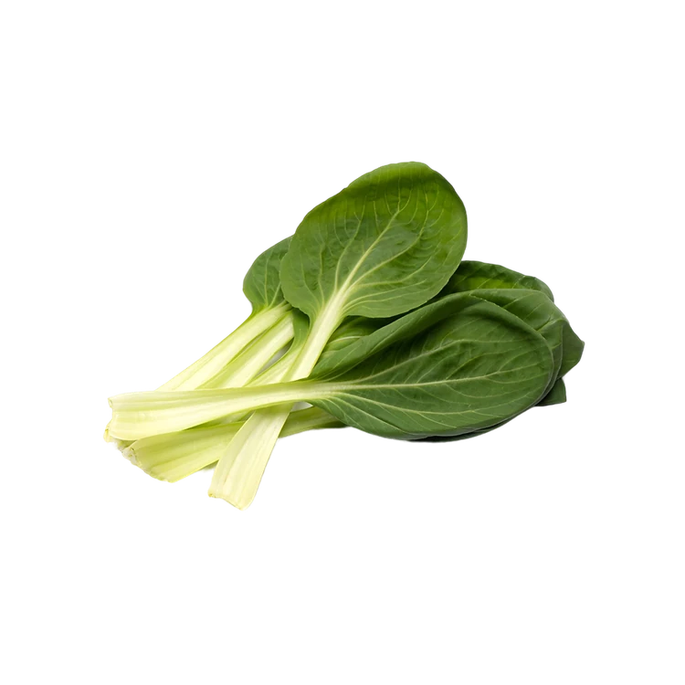 Bok Choy - Hydroponically Grown