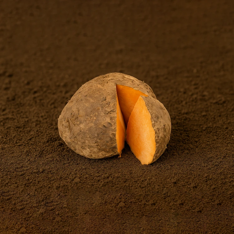 Organically Grown Yam - 500 g