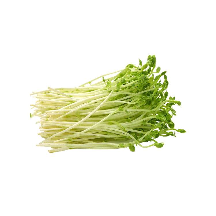 Pea Shoot Microgreens