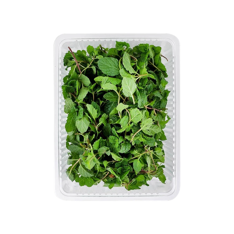 Mint Leaves (Pudina) - Hydroponically Grown (Pudina Soppu)