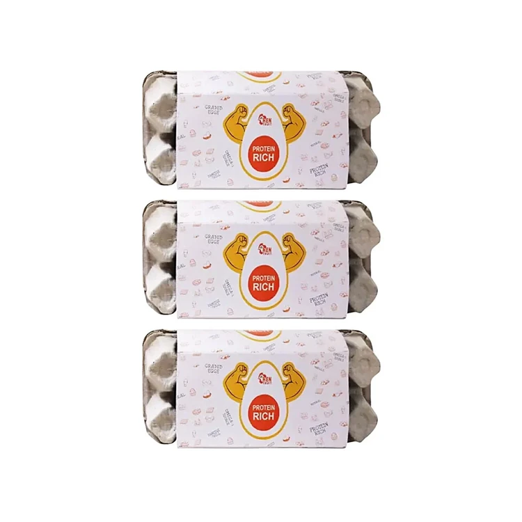 Hen Fruit Natural Protein Rich Eggs - Pack of 3