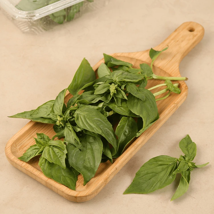 Basil Leaves - Hydroponically Grown 25 g (Tulasi Yelegalu)