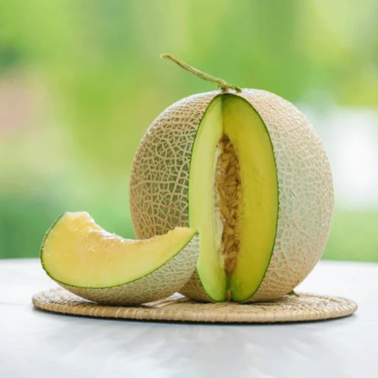 Bobby Muskmelon (Karbuja)