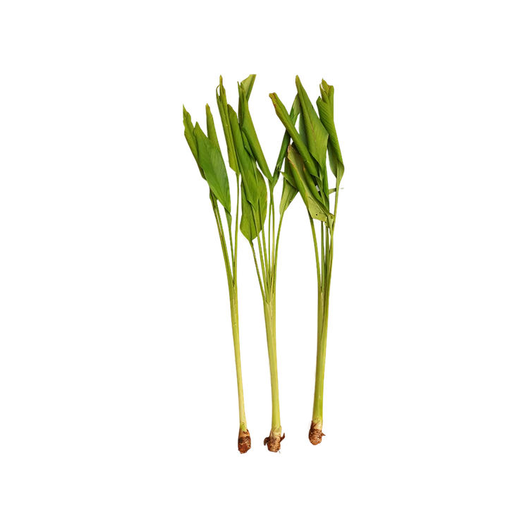 Turmeric with Leaves (Arishina Ele)