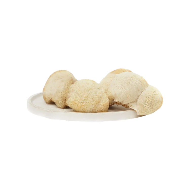 Lion's Mane Mushroom (Anabe)