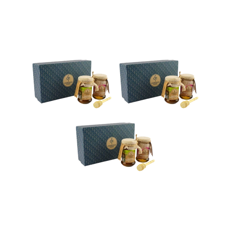 Conscious Food Honey Bliss Gift Box - Pack of 3