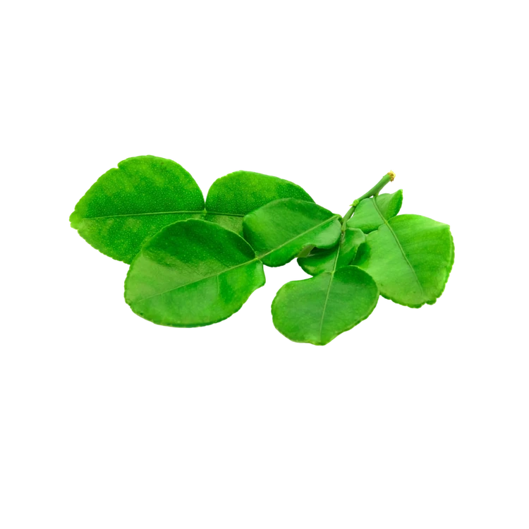 Lemon Leaves (Kaffir)