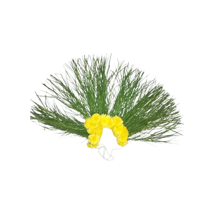 Doob Grass / Durva Grass String