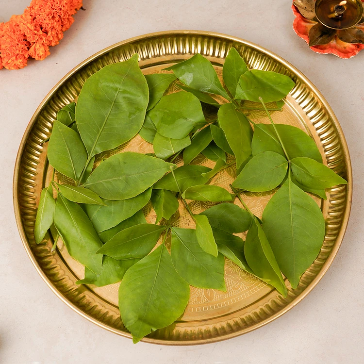 Bel Patra (Bilva Patre)