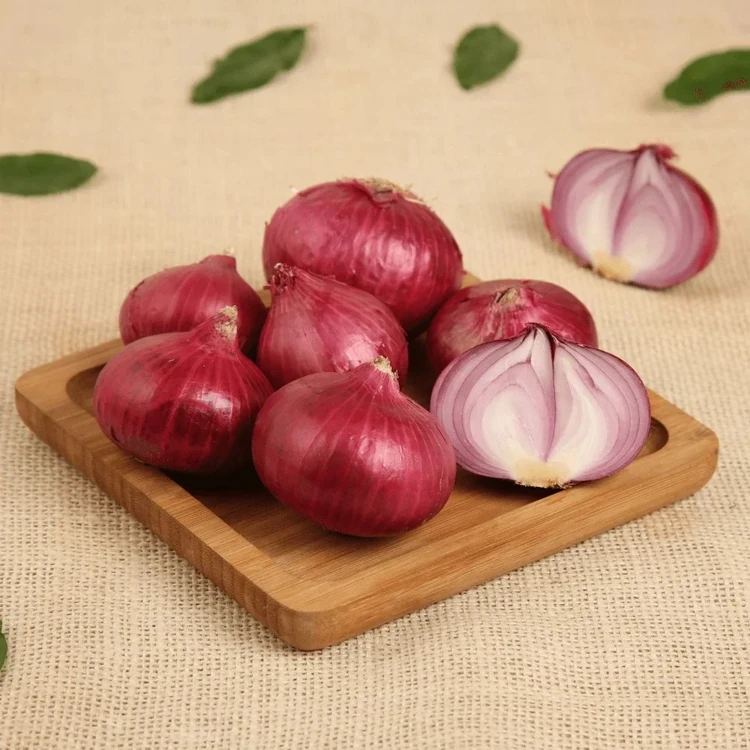Organically Grown Onion - 500 g