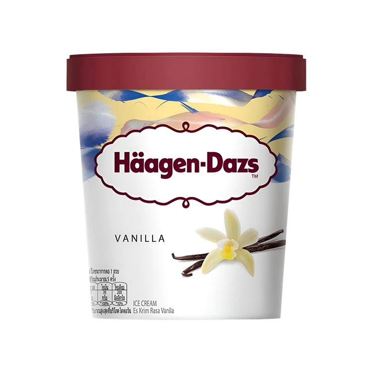 Haagen-Dazs Vanilla Ice Cream Tub