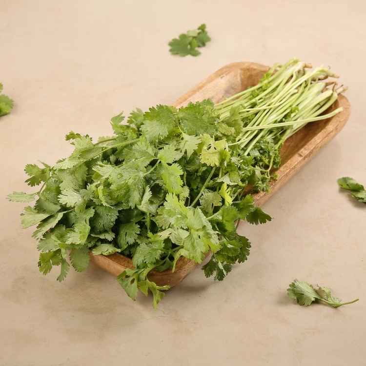 Coriander Bunch - Fresh (Kottambari Soppu)