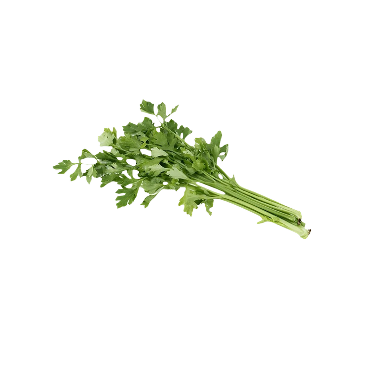 Celery - Hydroponically Grown