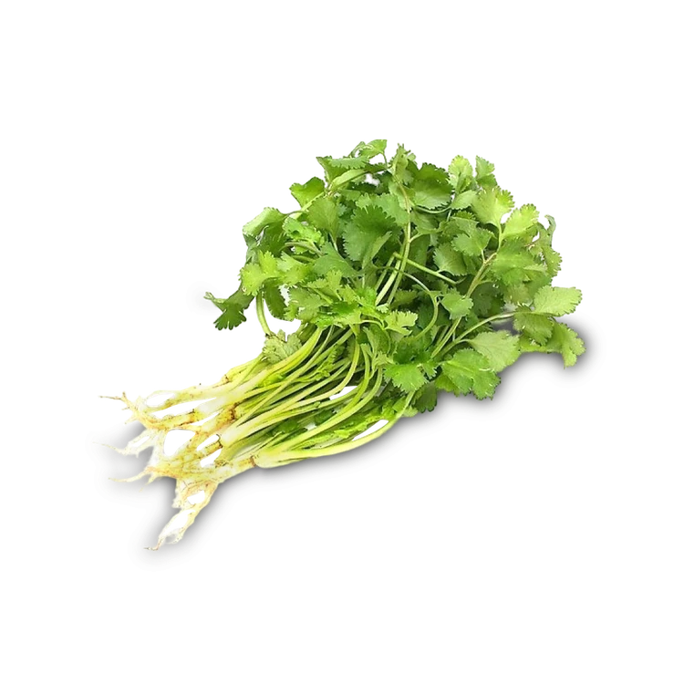 Coriander - Hydroponically Grown (Kottambari Soppu)