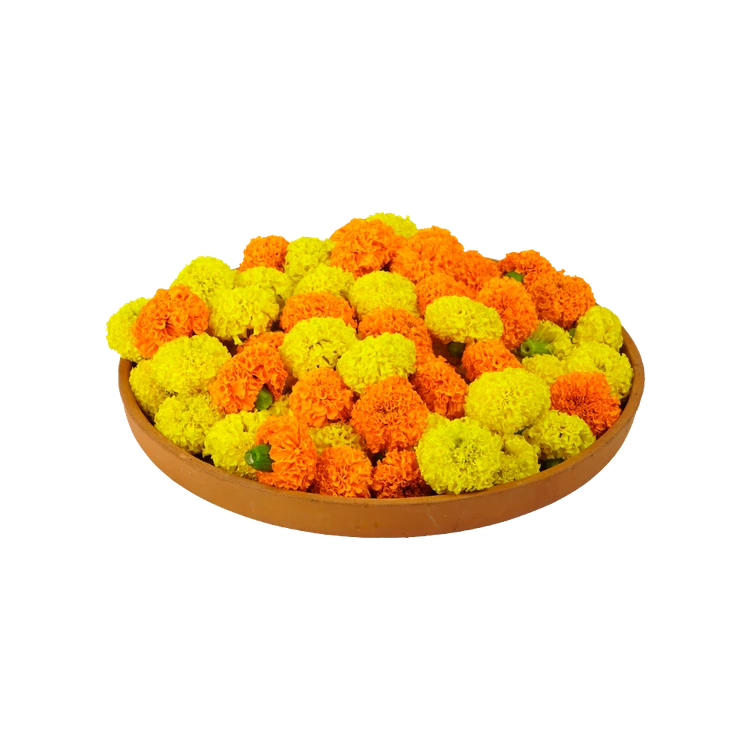 Mix Marigold Special Offer