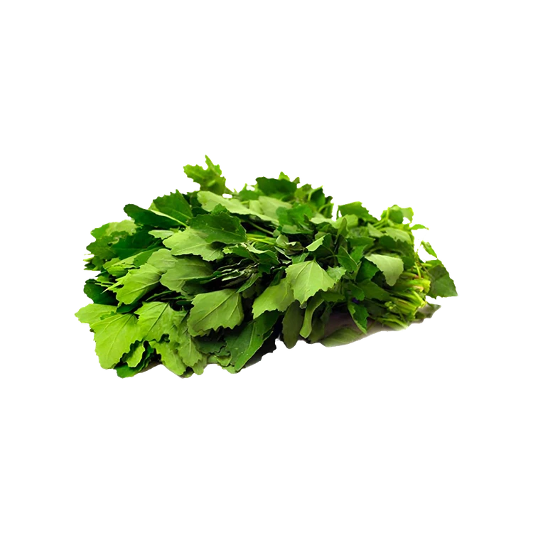 Chenopodium (Kudukuru)