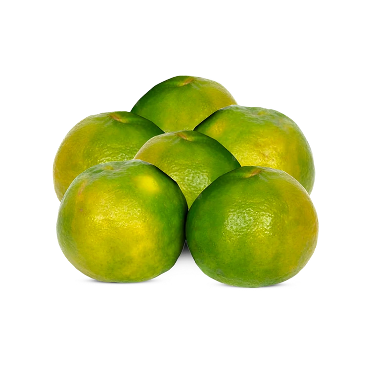 Nagpur Orange Special Offer (500 g)