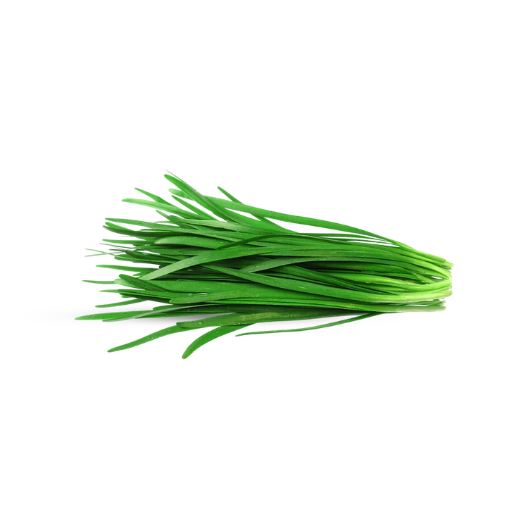 Spring Garlic Chives (Spring Bellulli)