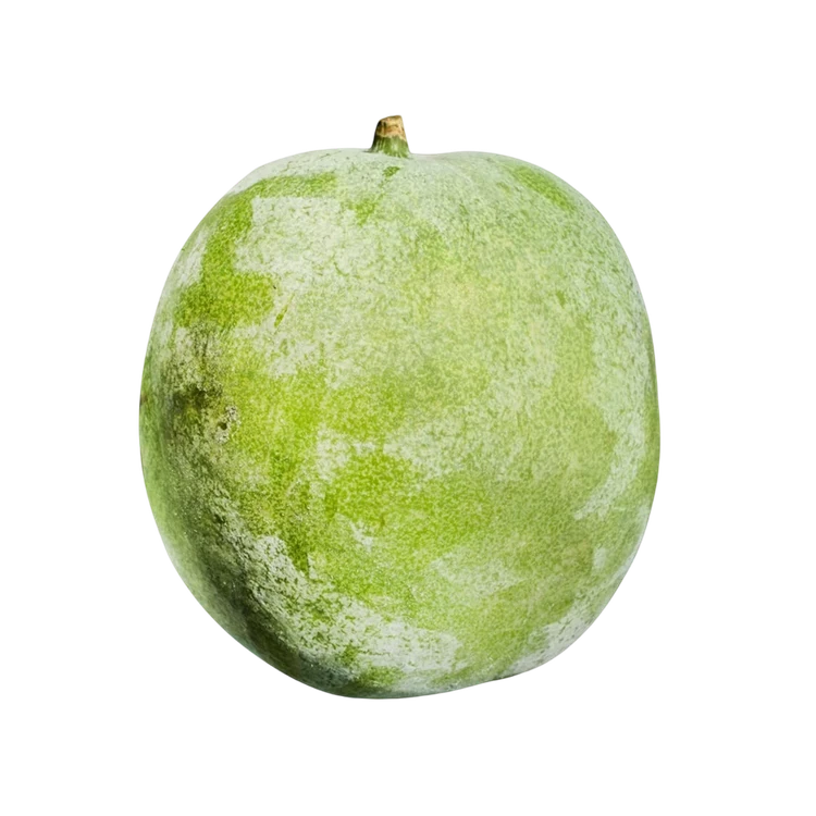 Ash Gourd (Kumbala Kayi)