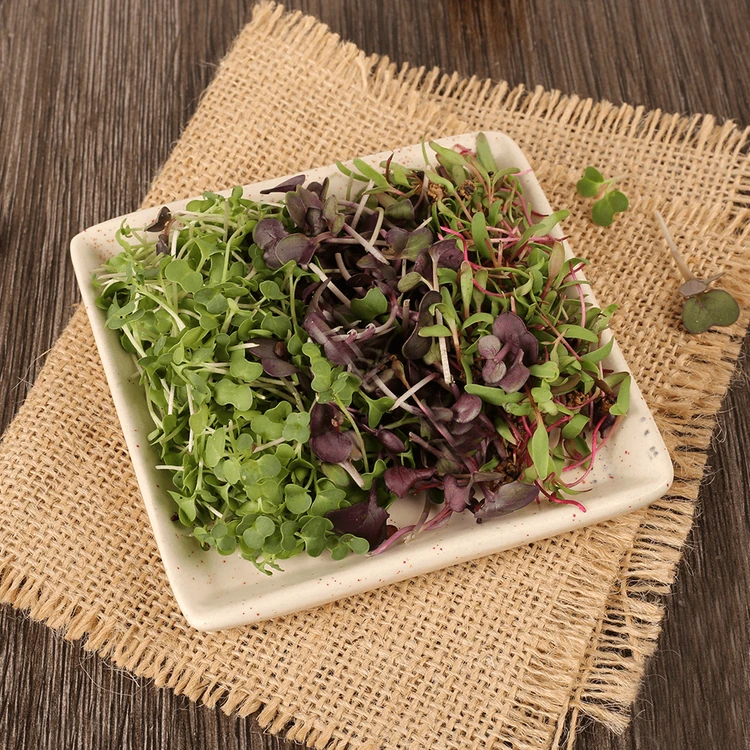 Microgreens Mix
