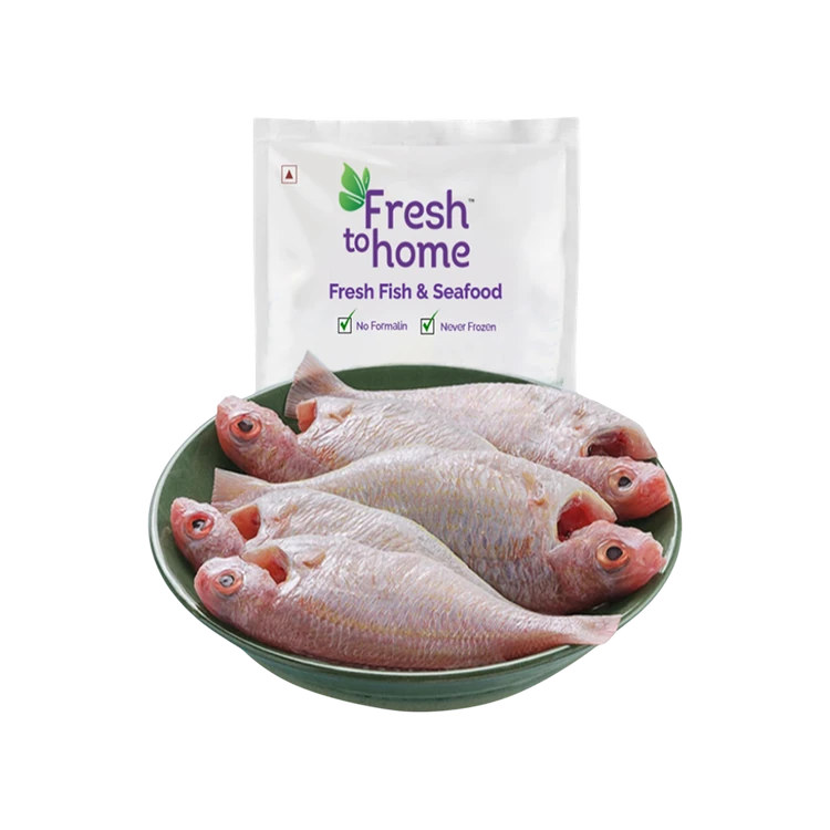 FreshToHome Pink Perch Whole Cleaned Fish (Large)