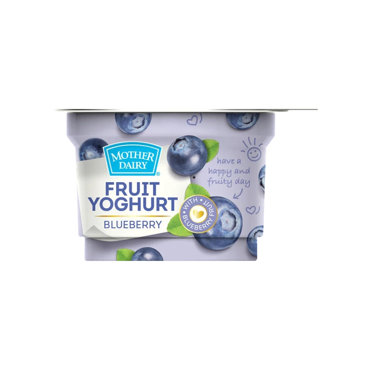 Mother Dairy Blueberry Yogurt