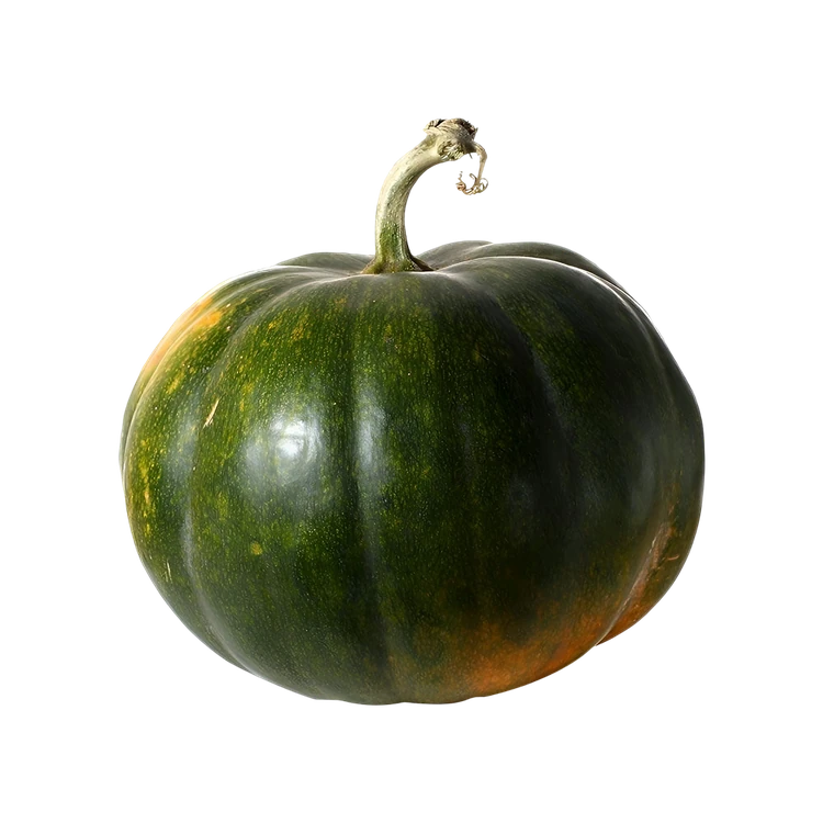 Green Pumpkin (Kumbalakayi)