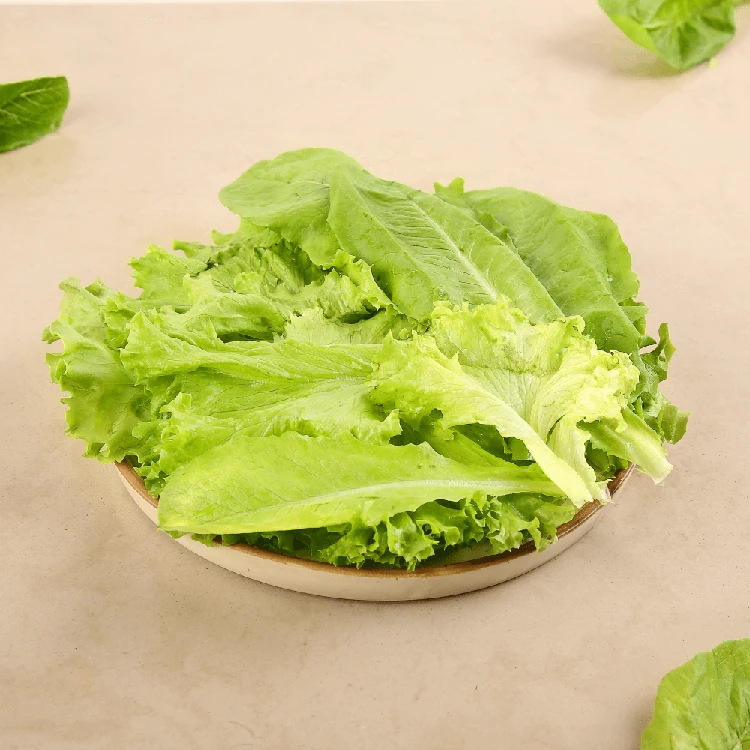 Lettuce Mix Hydroponically Grown (Letis Soppu)