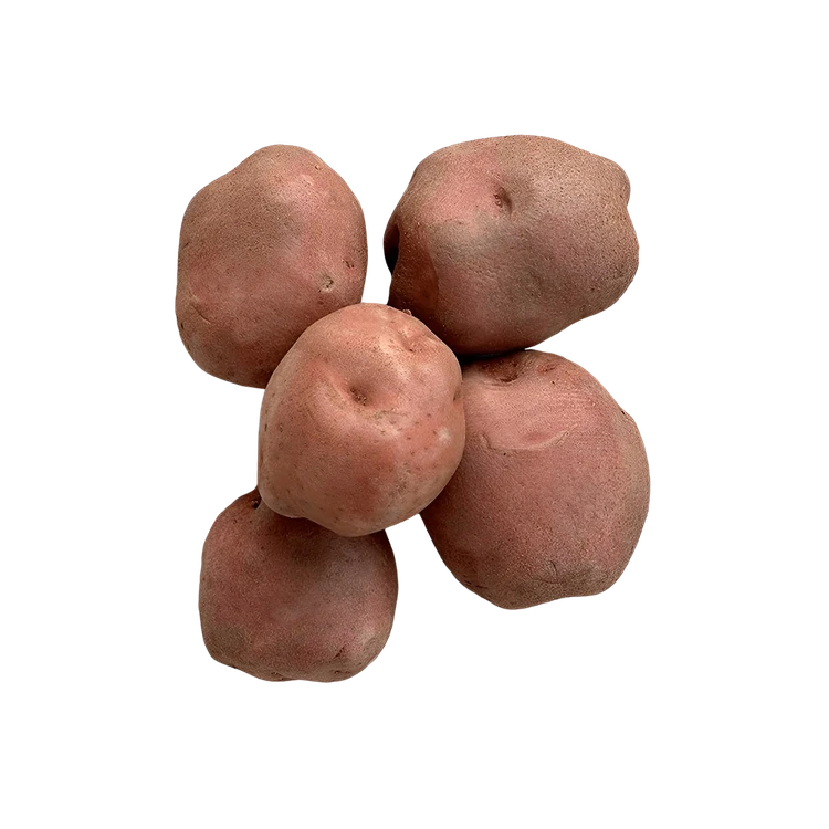 Miss Fry Potato (Alugadde)