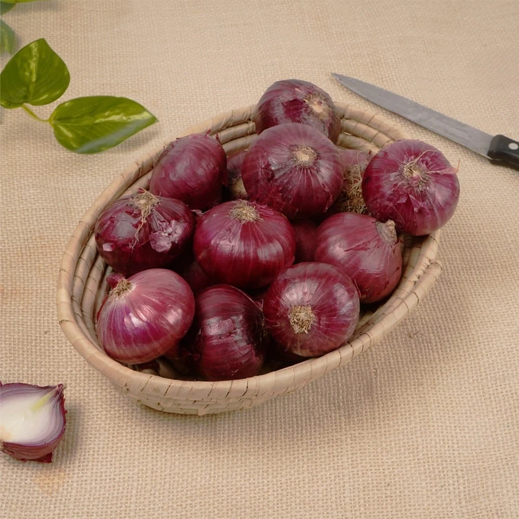 Organically Grown Onion - 500 g