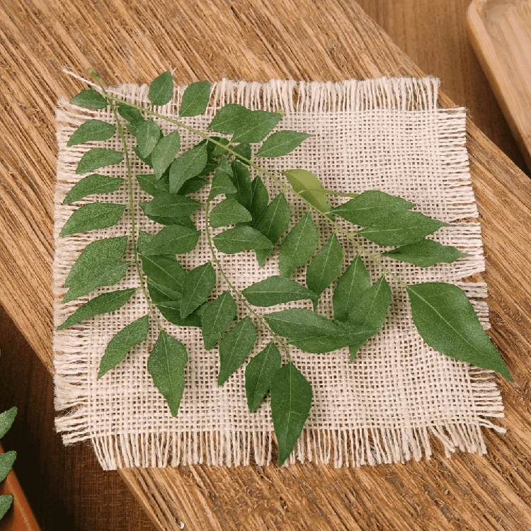 Organically Grown Curry Leaves - 50 g (Karibevina Soppu)