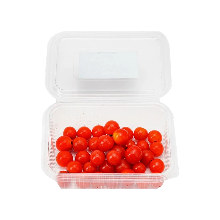 Red Cherry Tomatoes - Hydroponically Grown