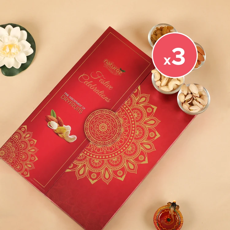 Naturoz Festive Celebrations Dry Fruits Gift Pack - Pack of 3 (Dry Fruits Udugore Pack)