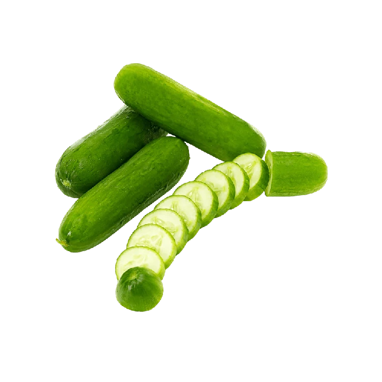 Hydroponic Snacking Seedless Cucumber (Southekayi)