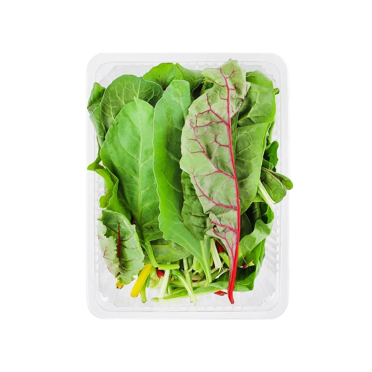 Hydroponically Grown Swiss Chard Leaves