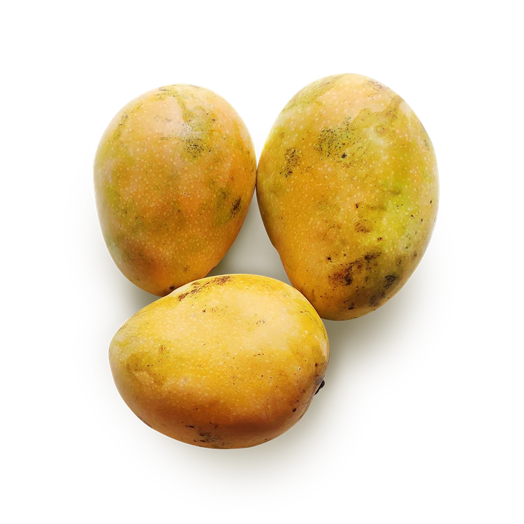 Laxman Bhog Mango (Malda) (Maavina Hannu)