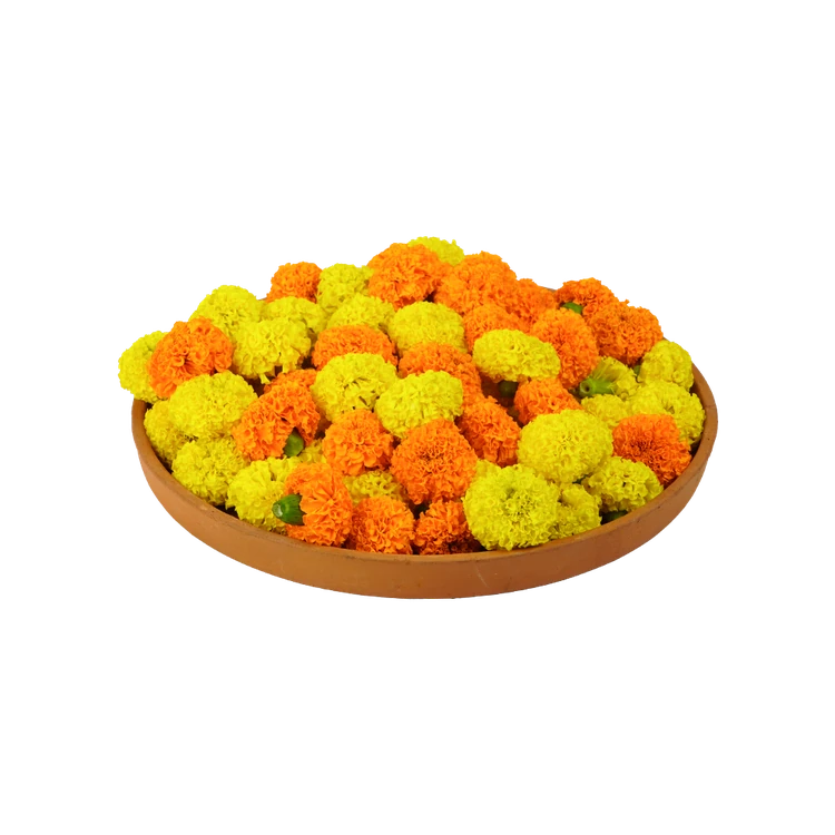 Mix Marigold (Chandu Hoovu)