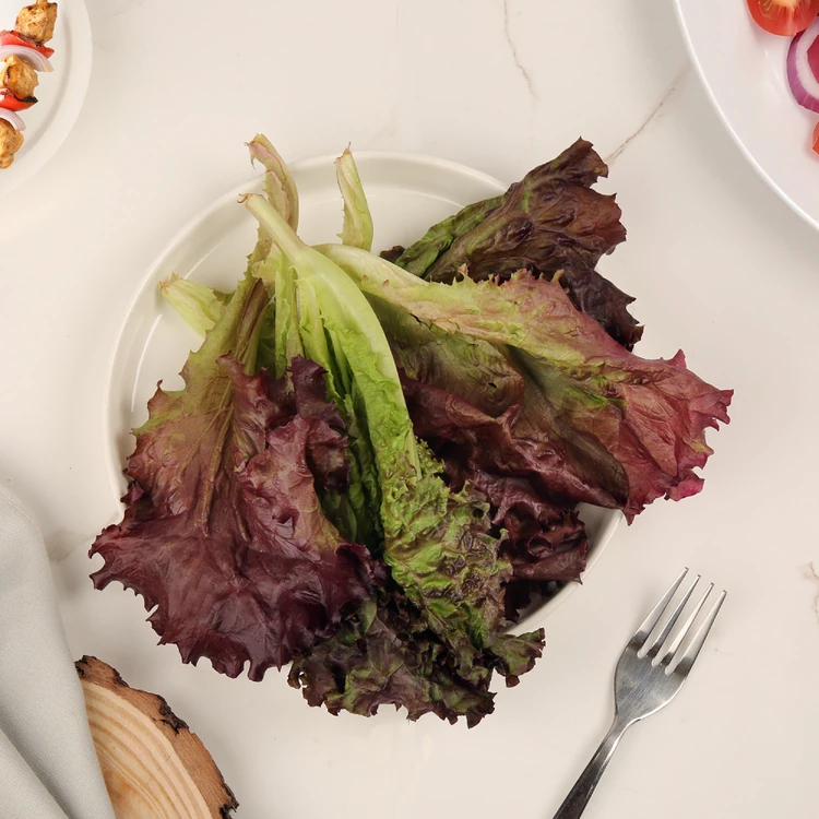 Red Lettuce (Letis Soppu)