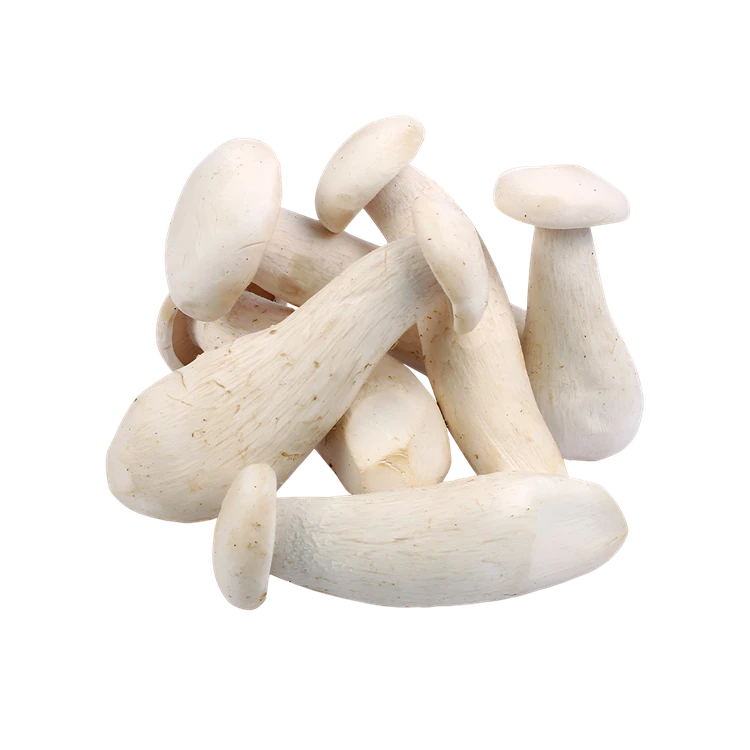 Milky Mushroom (Anabe)